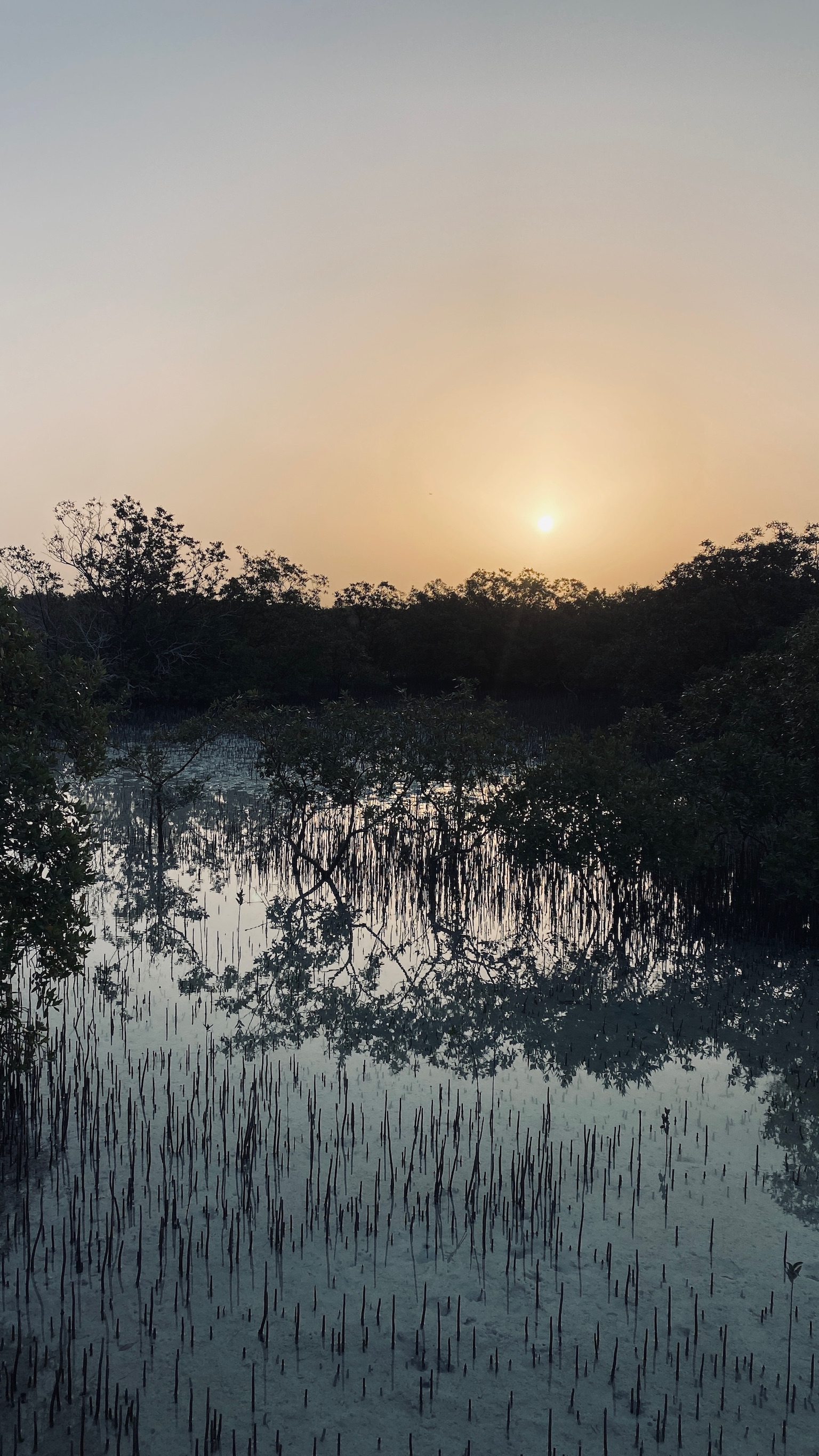 Gentle yoga practice in peaceful setting