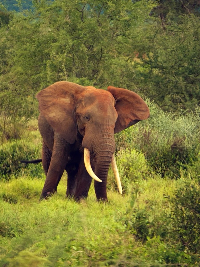 Another peaceful environment