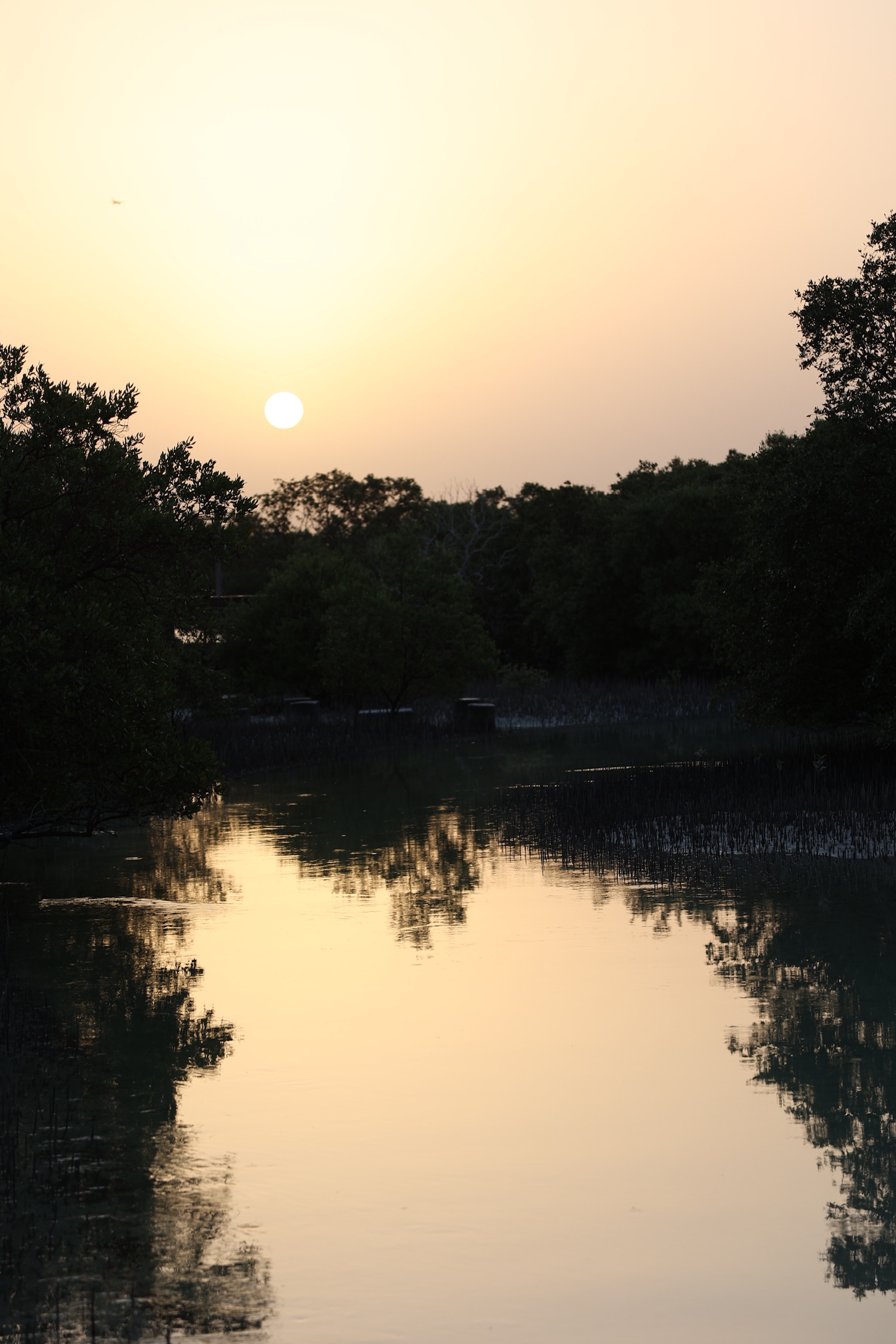 Healing instruments in use