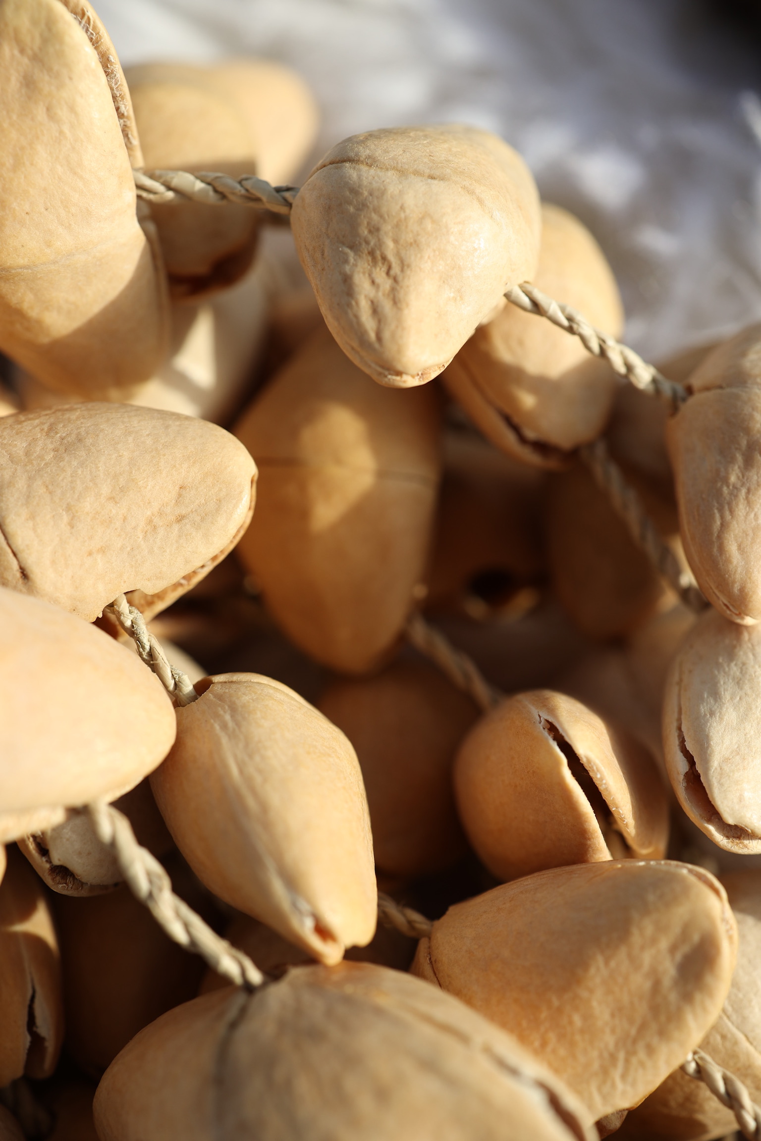 Healing instruments in use