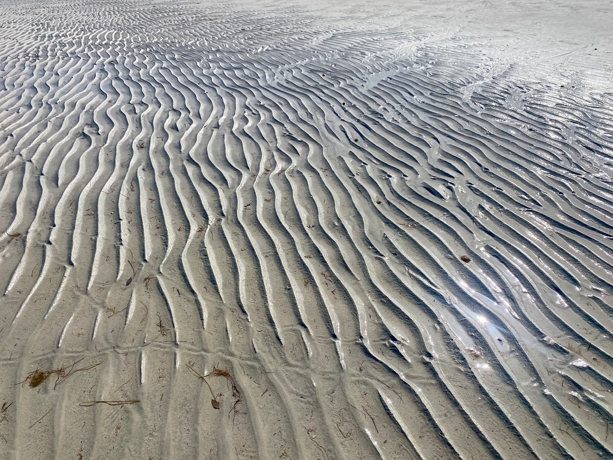 Peaceful meditation space