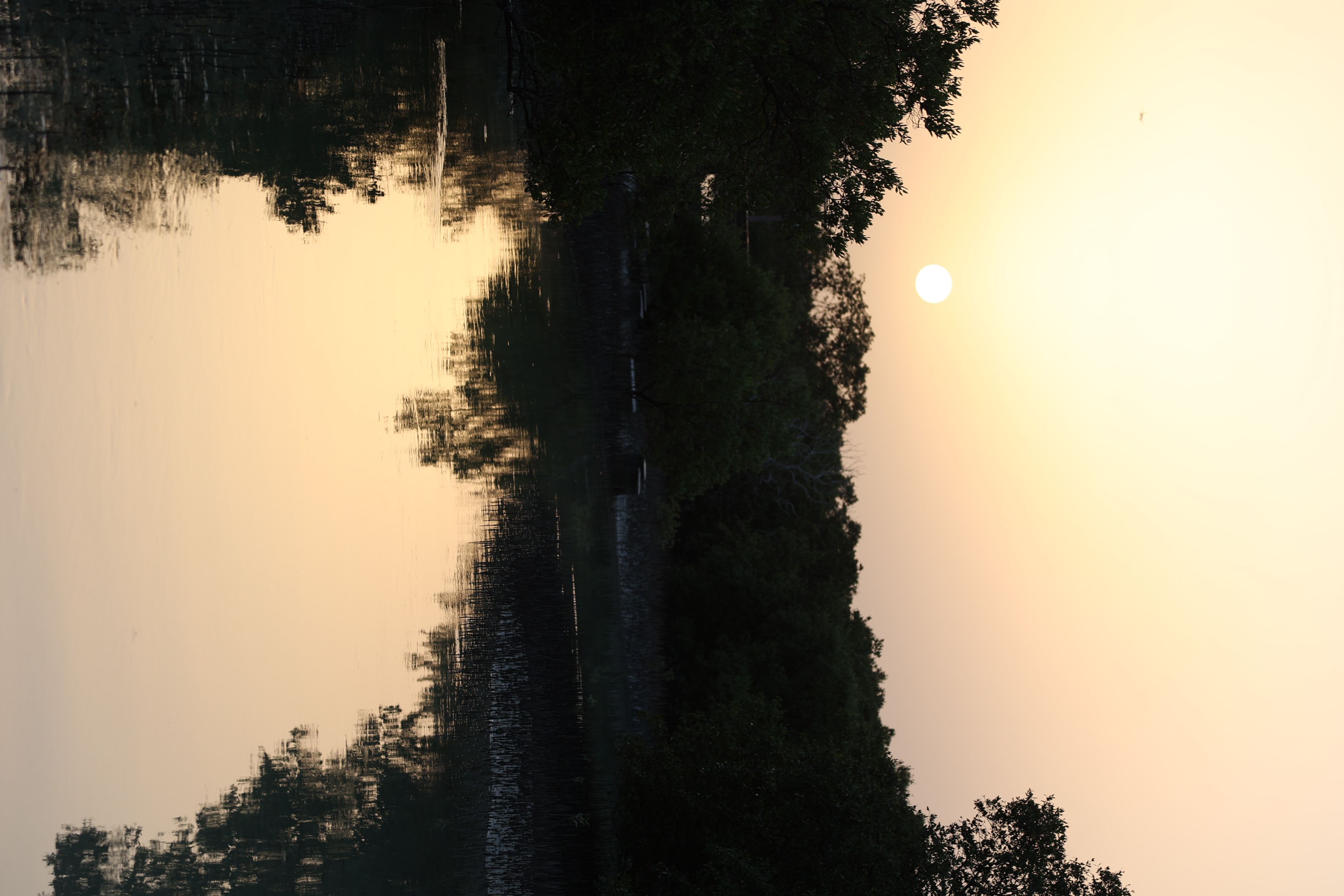 Calm meditation space with natural light