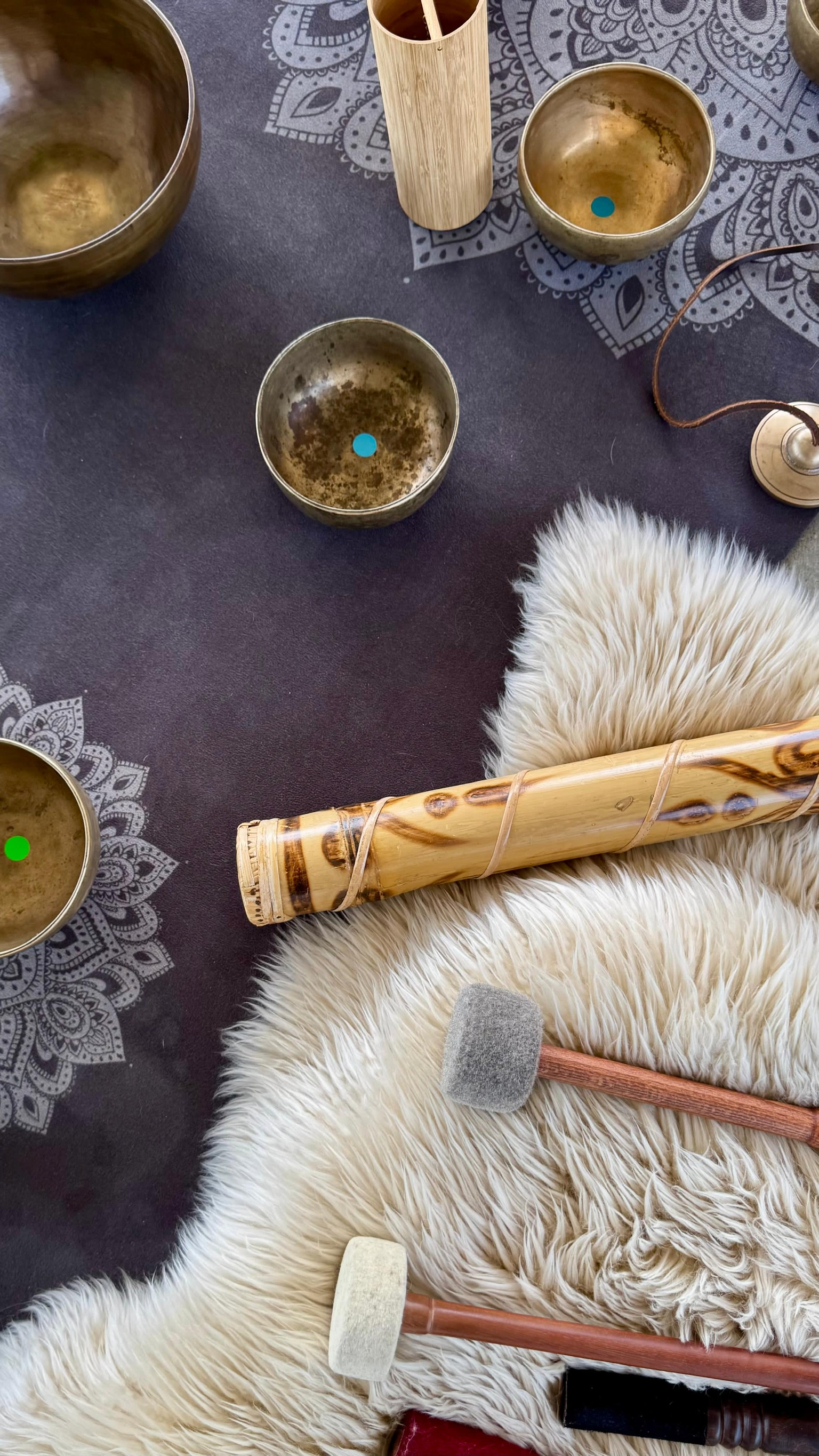 Peaceful forest atmosphere representing inner calm